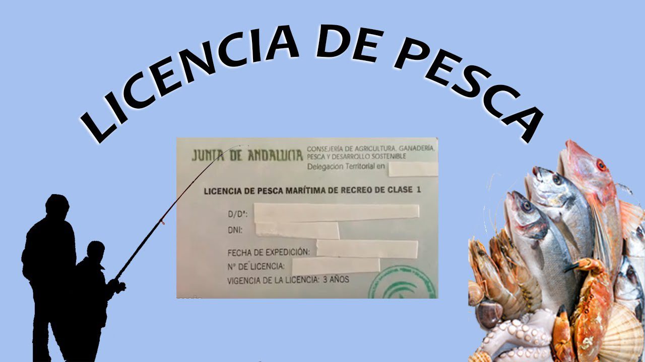 Guía paso a paso: Cómo sacar tu licencia de pesca online en Andalucía con cita previa