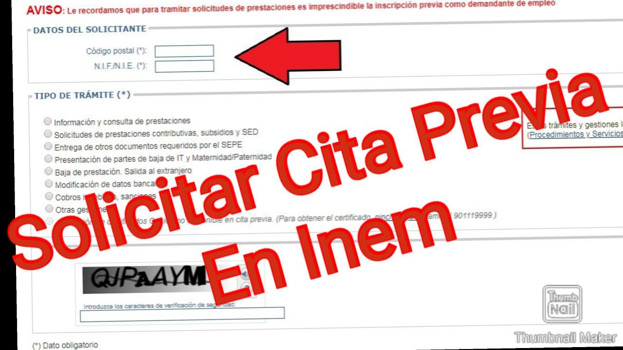 www.inaem.es cita previa