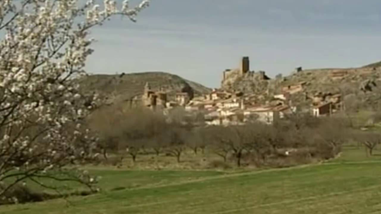 endesa calatayud