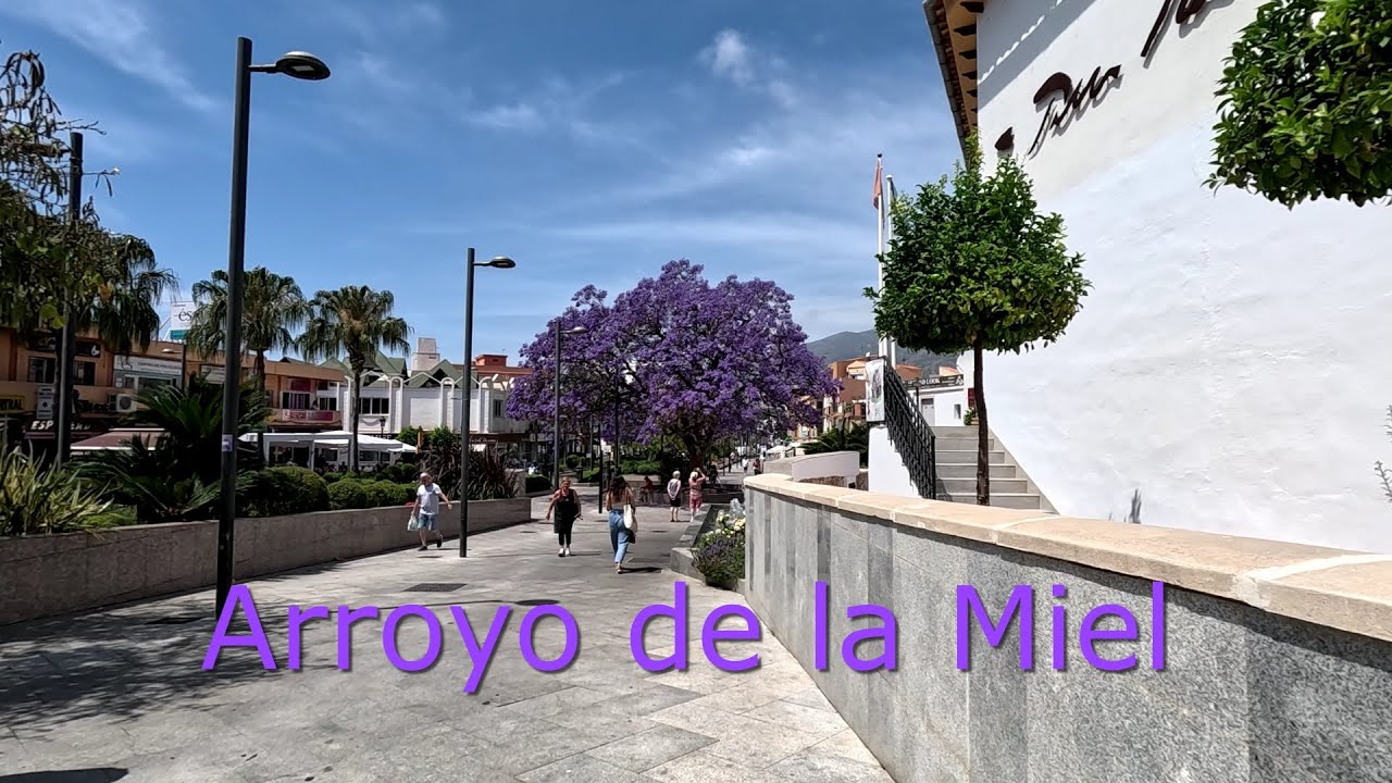 oac arroyo de la miel