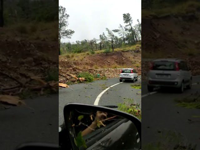 carretera de valldemossa 13