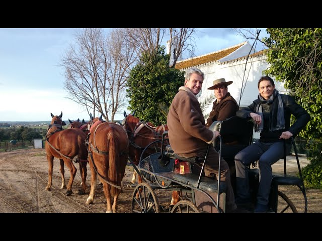 cita itv huelva san juan del puerto