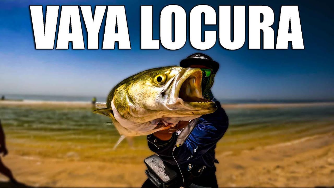 licencia de pesca en huelva